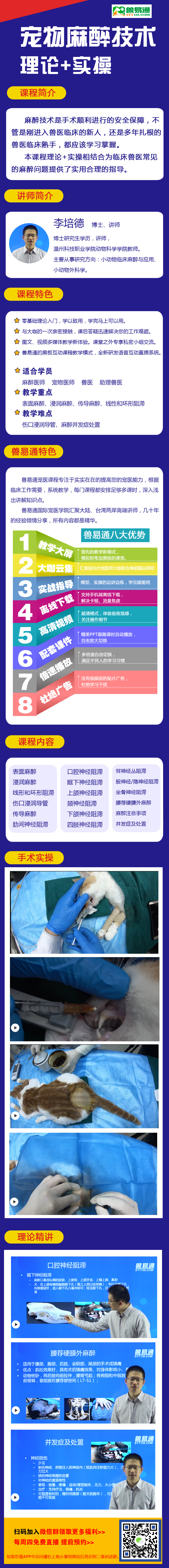宠物麻醉